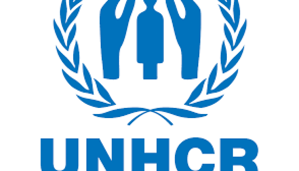 Protection Assistant Vacancy-Job Ref: ACMYUNHCR/0908/202483